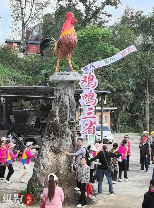 农家乐“扫码闻鸡鸣”遭跟风恶搞