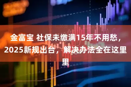 金富宝 社保未缴满15年不用愁，2025新规出台，解决办法全在这里