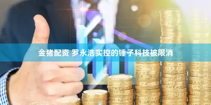 金猪配资 罗永浩实控的锤子科技被限消