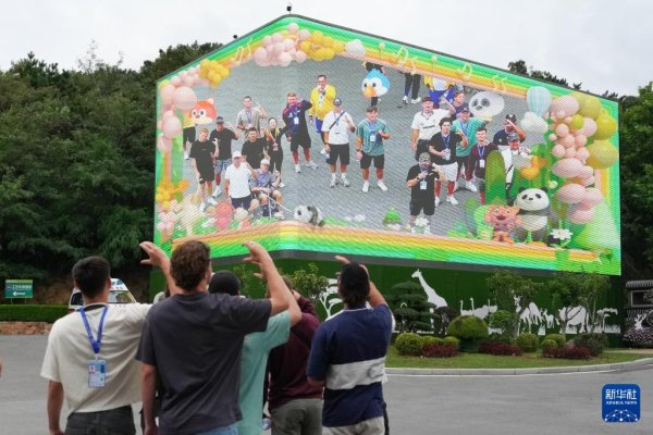 祥盛期权 国际大体联足球世界杯：感受大连城市文化